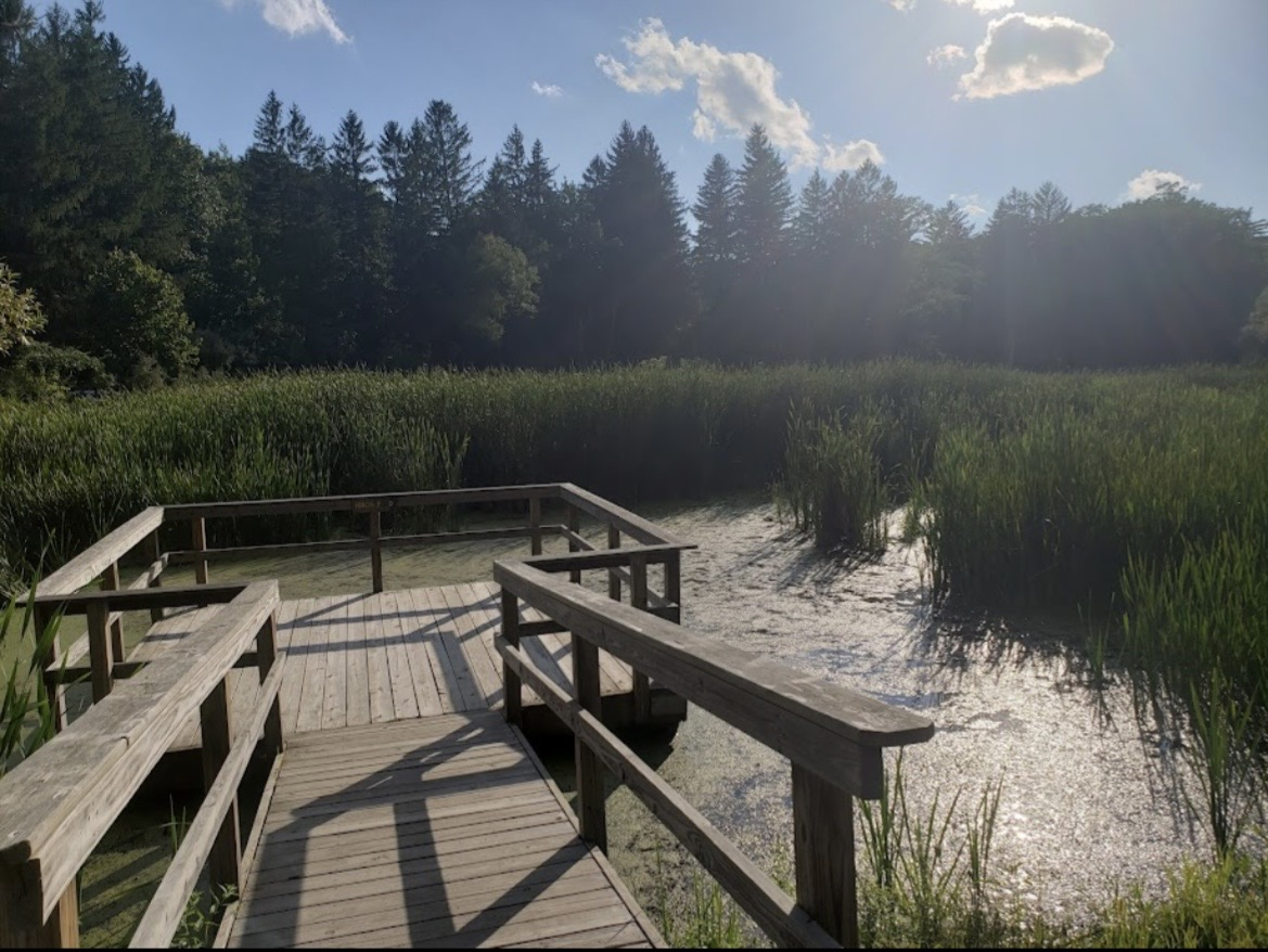 5 Rivers Environmental Center is less than 10 minutes away and offers 450 acres of trails for hiking, snow shoeing, cross country skiing and adventure. Also has a beautiful nature center
