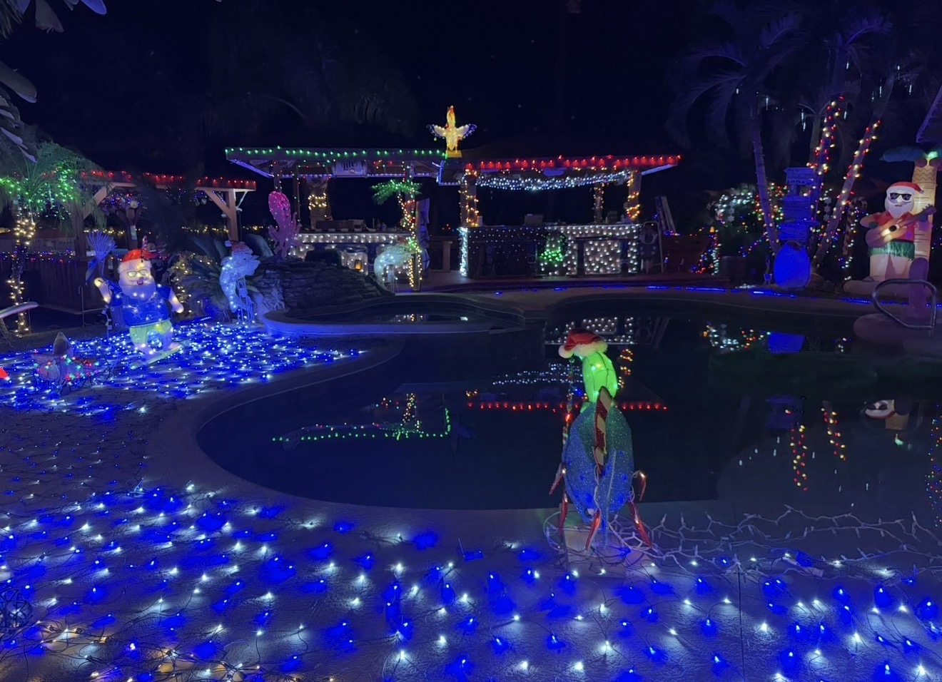 Mis decoraciones del jardín trasero en Navidad