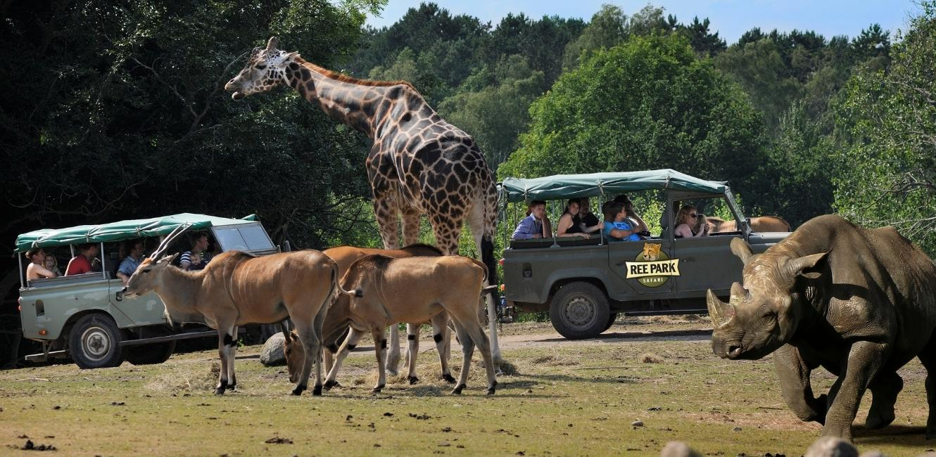 Safari au parc Ree