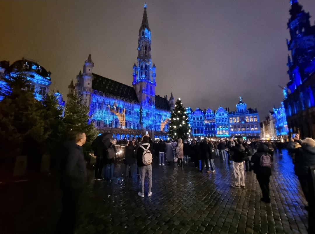 ¡Bruselas brilla en Navidad! 🎄 Pasea por la Grand Place, maravíllate con el árbol y empápate de la ...