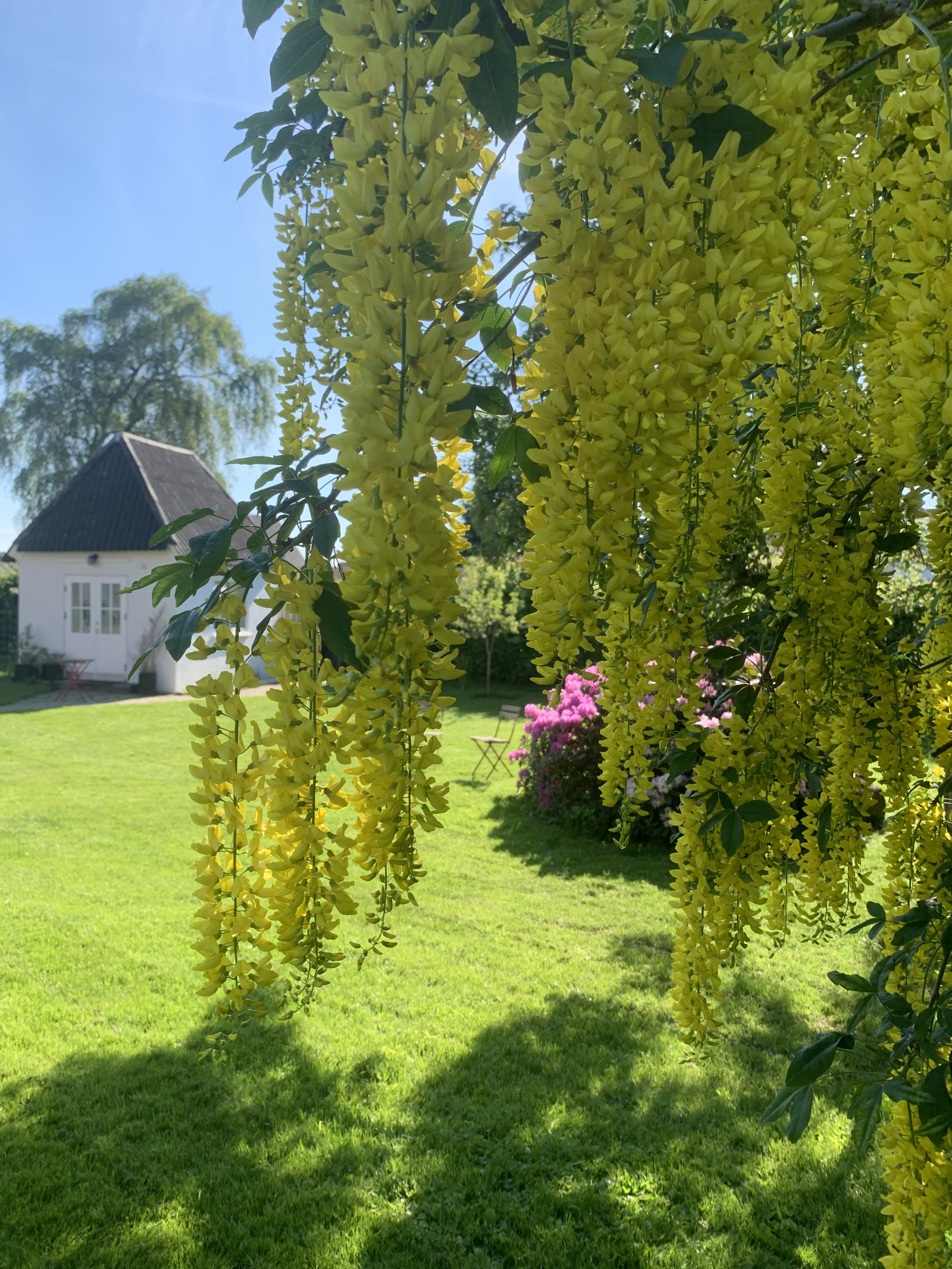 The garden in springseason.