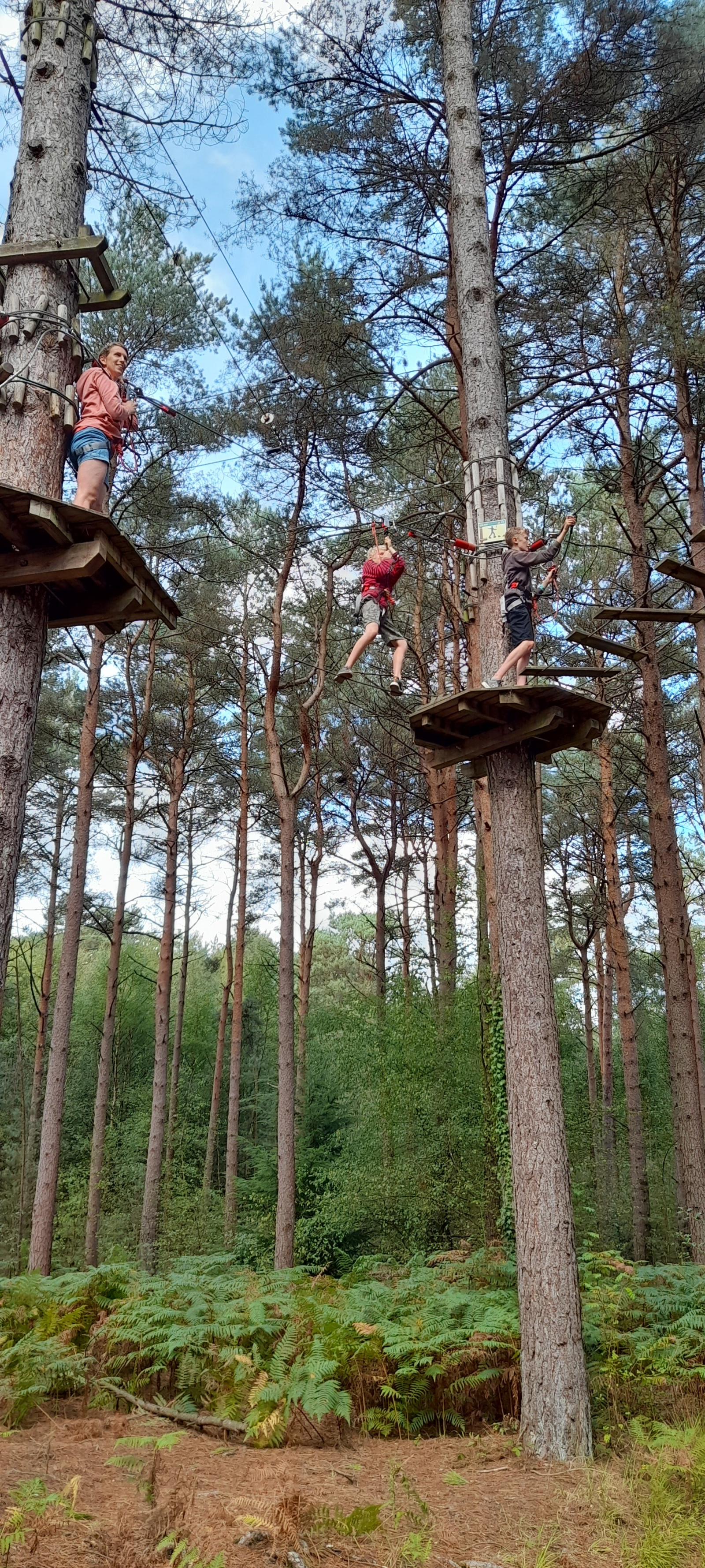 Moors valley country park