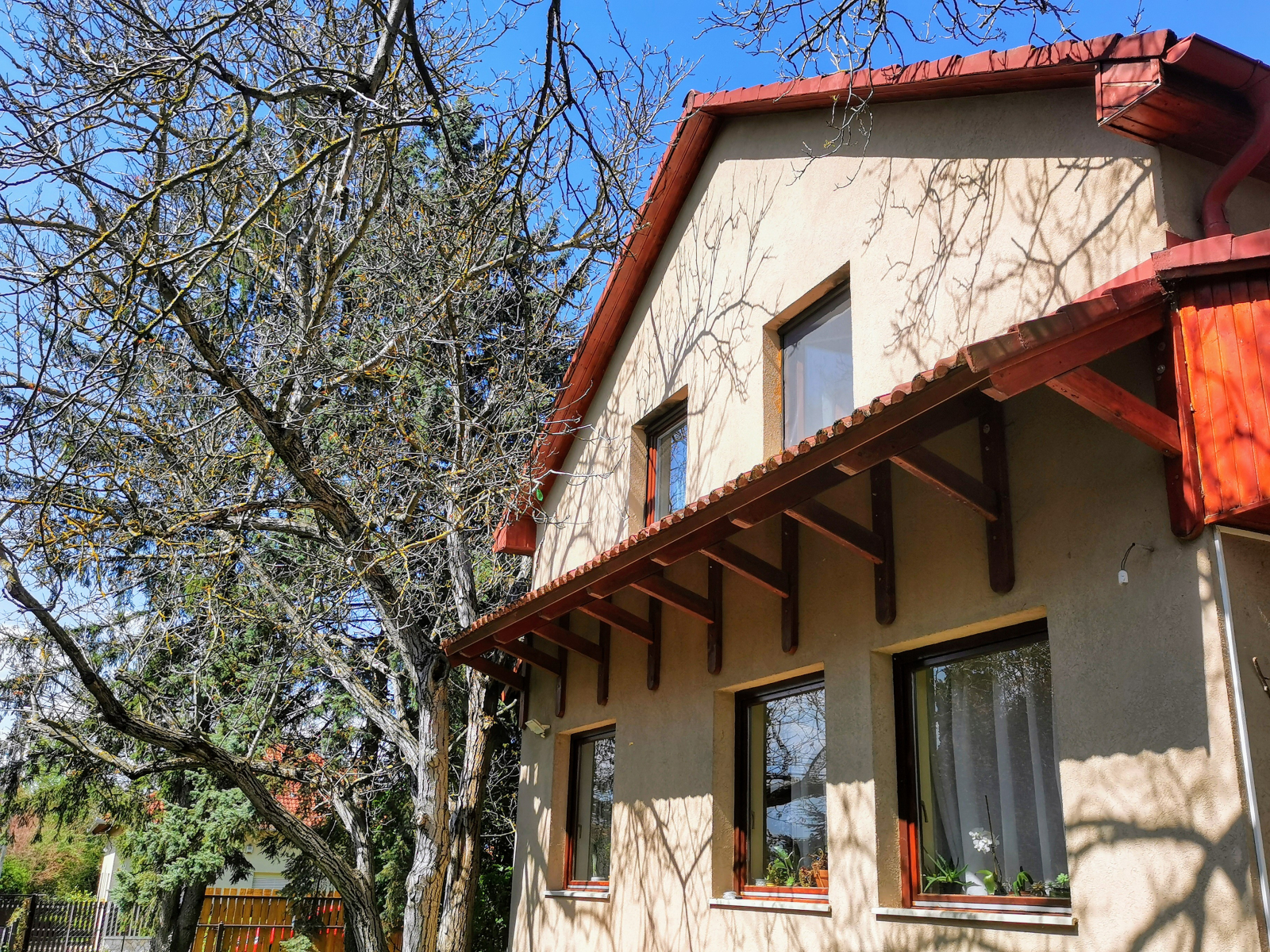 Nuestro dulce hogar a principios de primavera