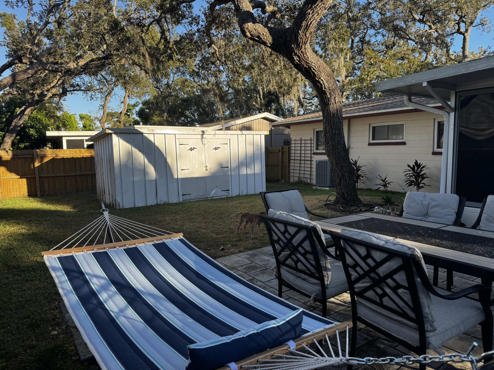 Hinterhof mit Hängematte und Schuppen