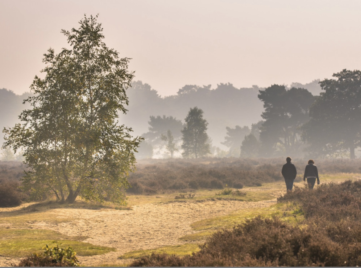 Op de foto gloeien de duinen van Bloemendaal in herfstkleuren. 30 min fietsen van het huis (15 min r ...