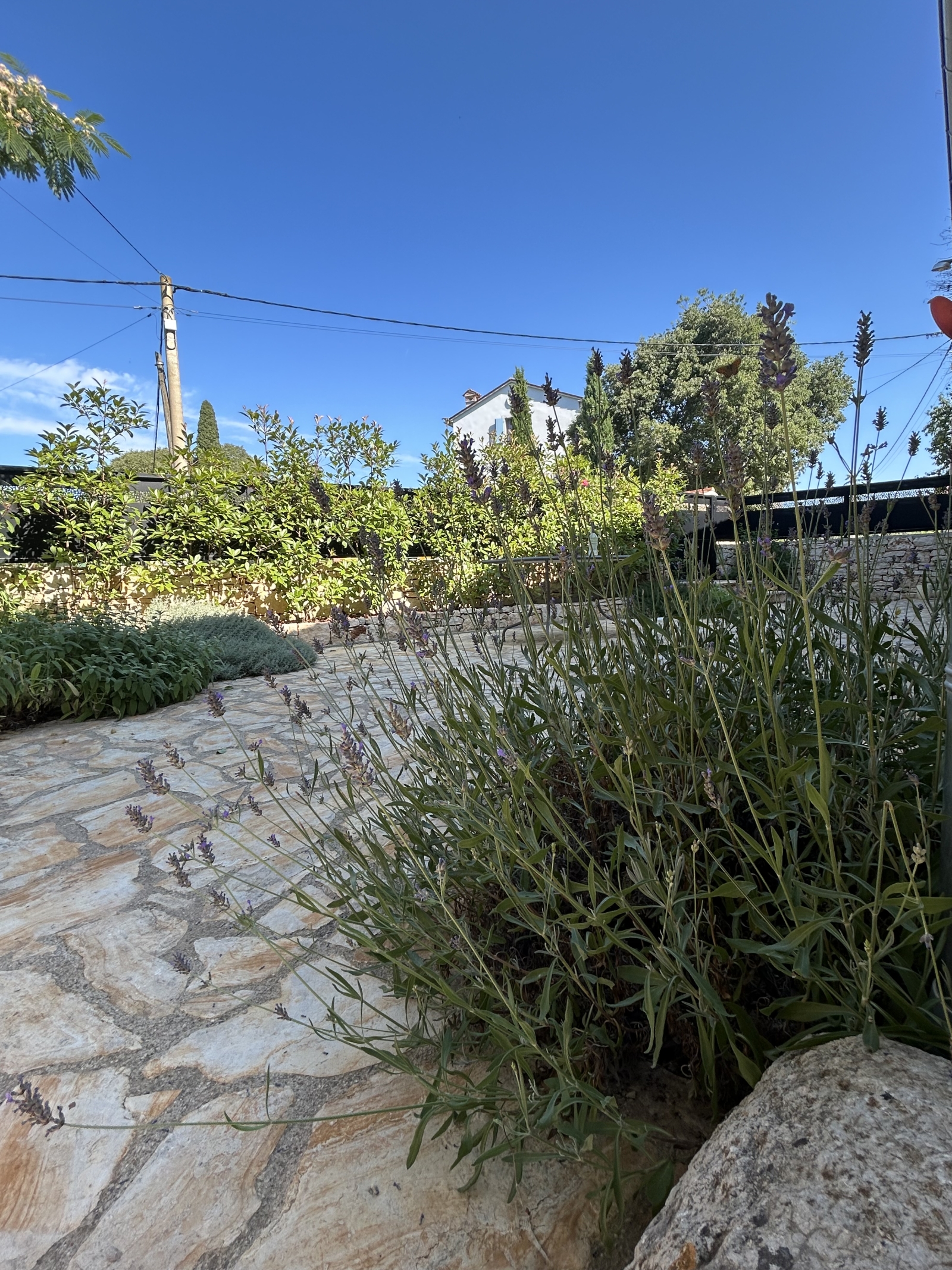Gezellig 17e-eeuws huis in het prachtige Istrië