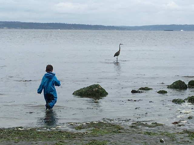 Fascino artigianale nel Green Lake di Seattle — due gatti inclusi!