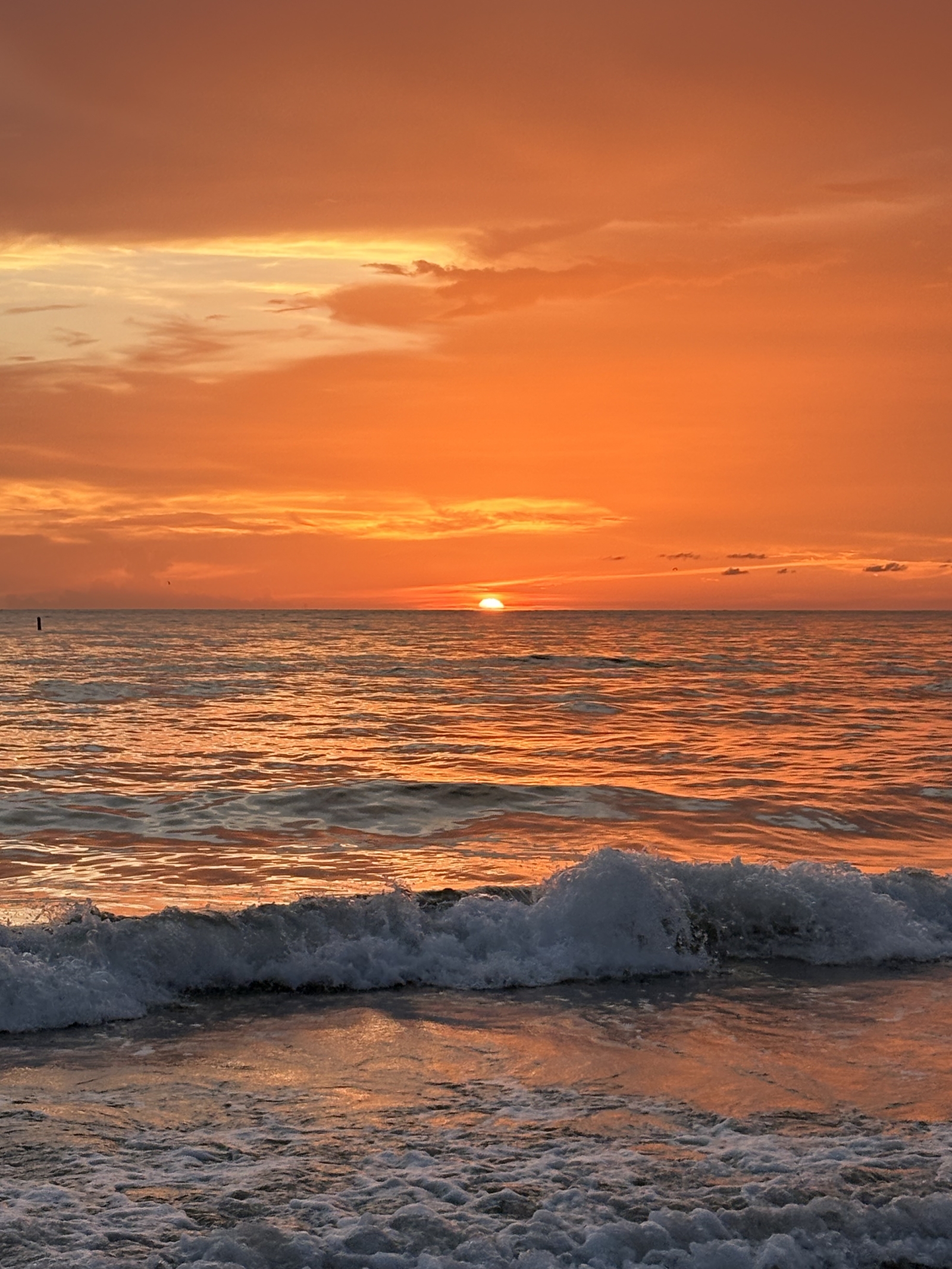 Una casa accogliente e spaziosa nel sud-ovest della Florida con palestra, piscina comunitaria e tanti sentieri pedonali. Alcune delle migliori spiagge della Florida a soli 40 minuti di distanza.