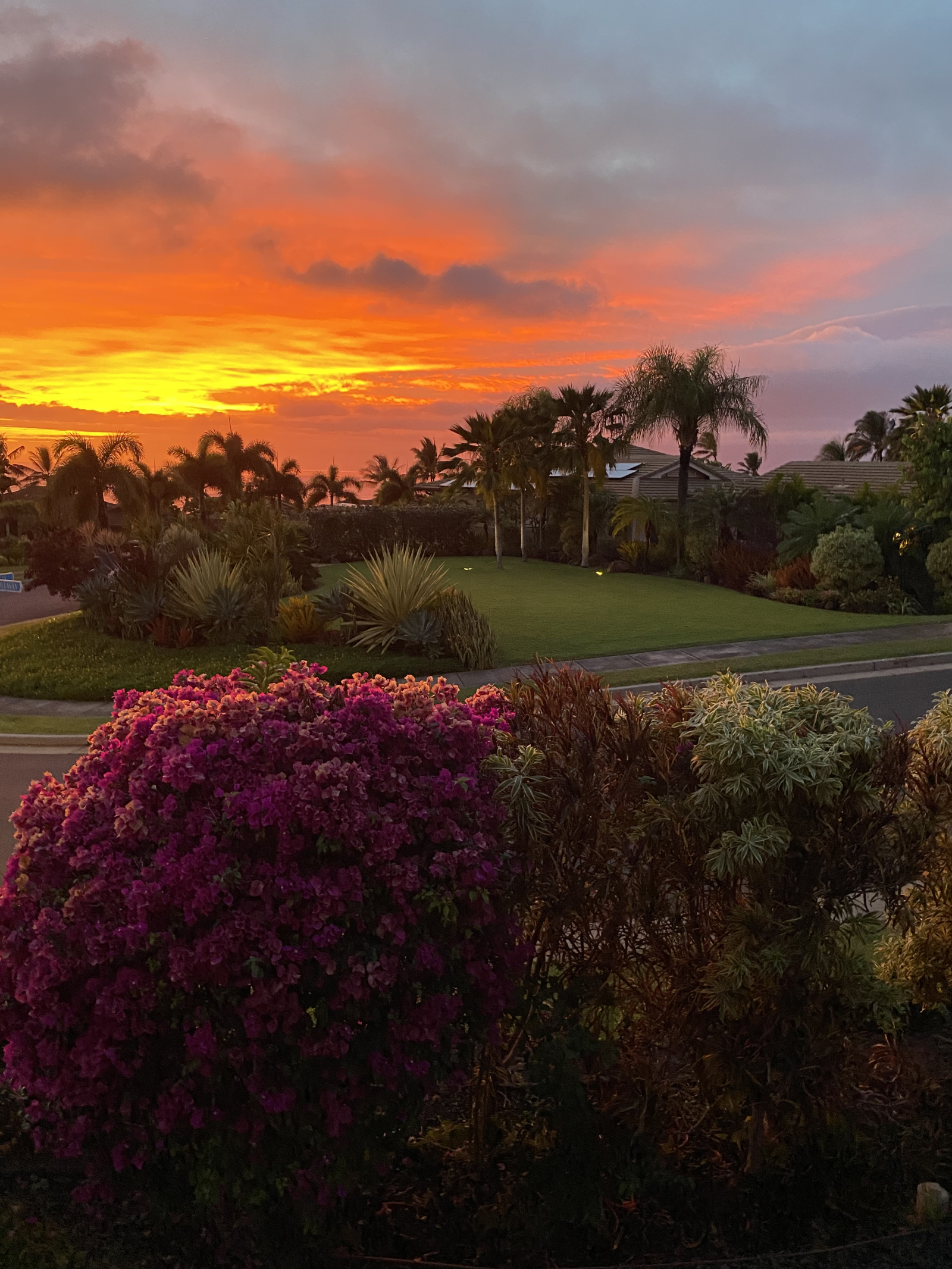 Belle maison rénovée à West Maui