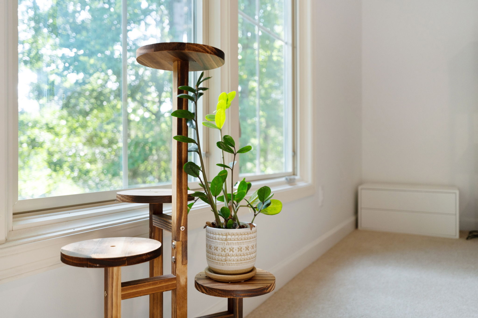 Vicino al centro 5BR + Ufficio Grande casa con cortile a Raleigh, NC