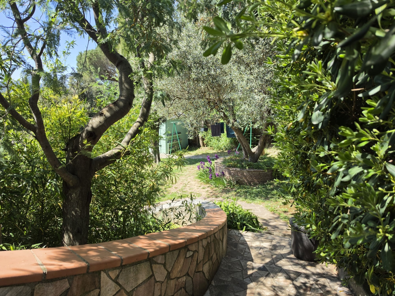 House + large studio in the South of France
