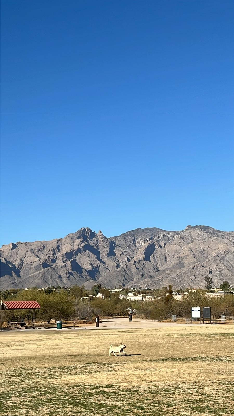 ¡Bienvenido al desierto de Sonora! La vista desde el parque al final de mi camino. Se puede acceder ...