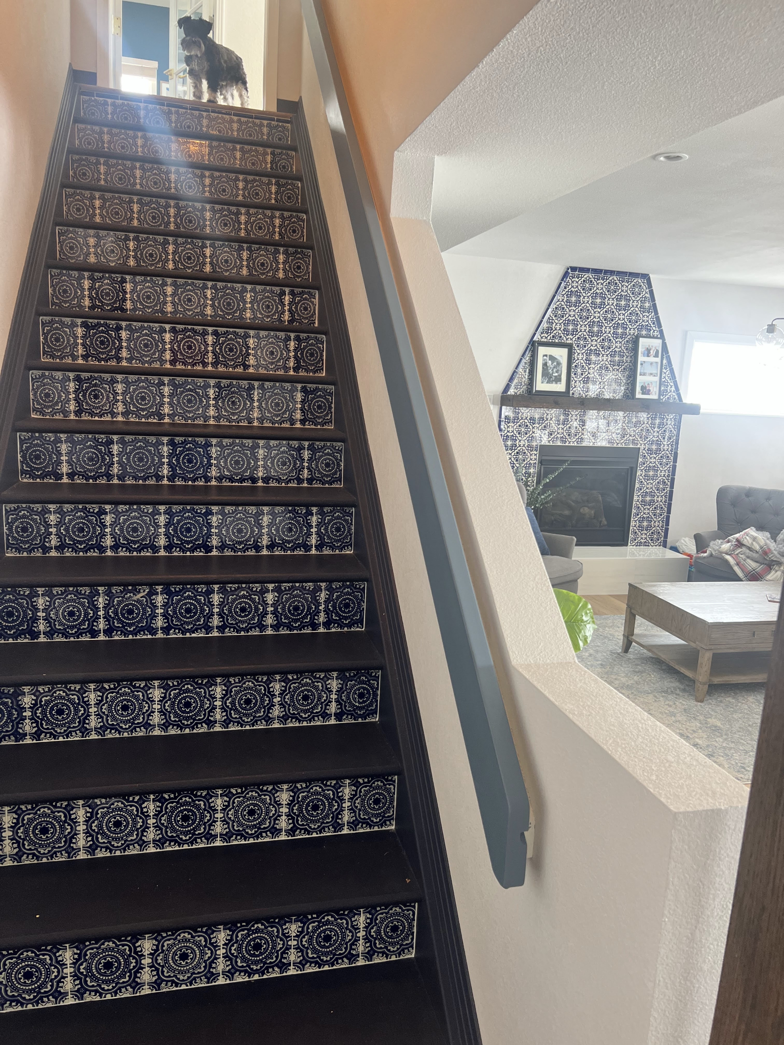 Basement living room