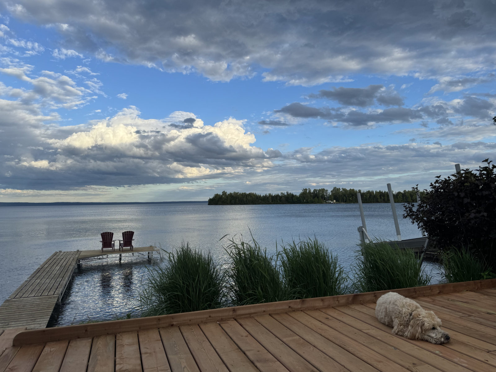 Muskoka chairs on the dock