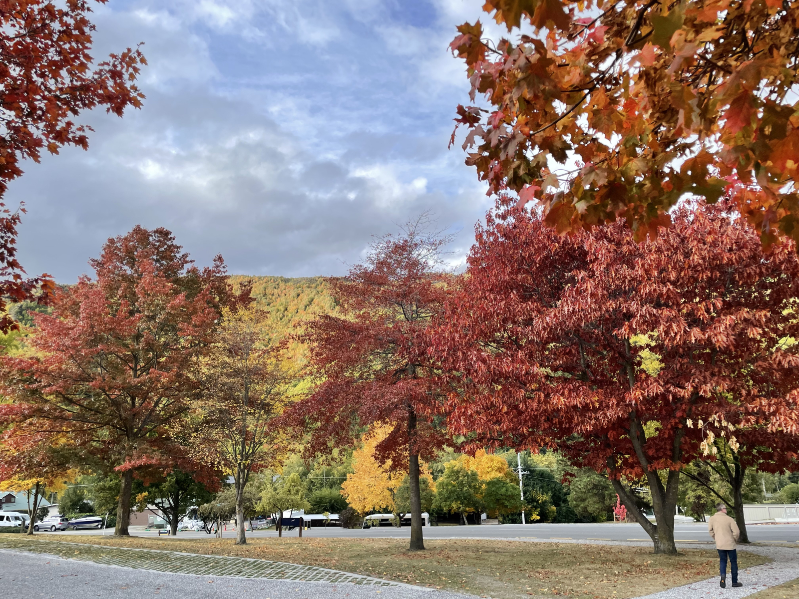 Spektakuläre Herbstausstellung im nahe gelegenen historischen Arrowtown. Toller Tagesausflug, um die ...