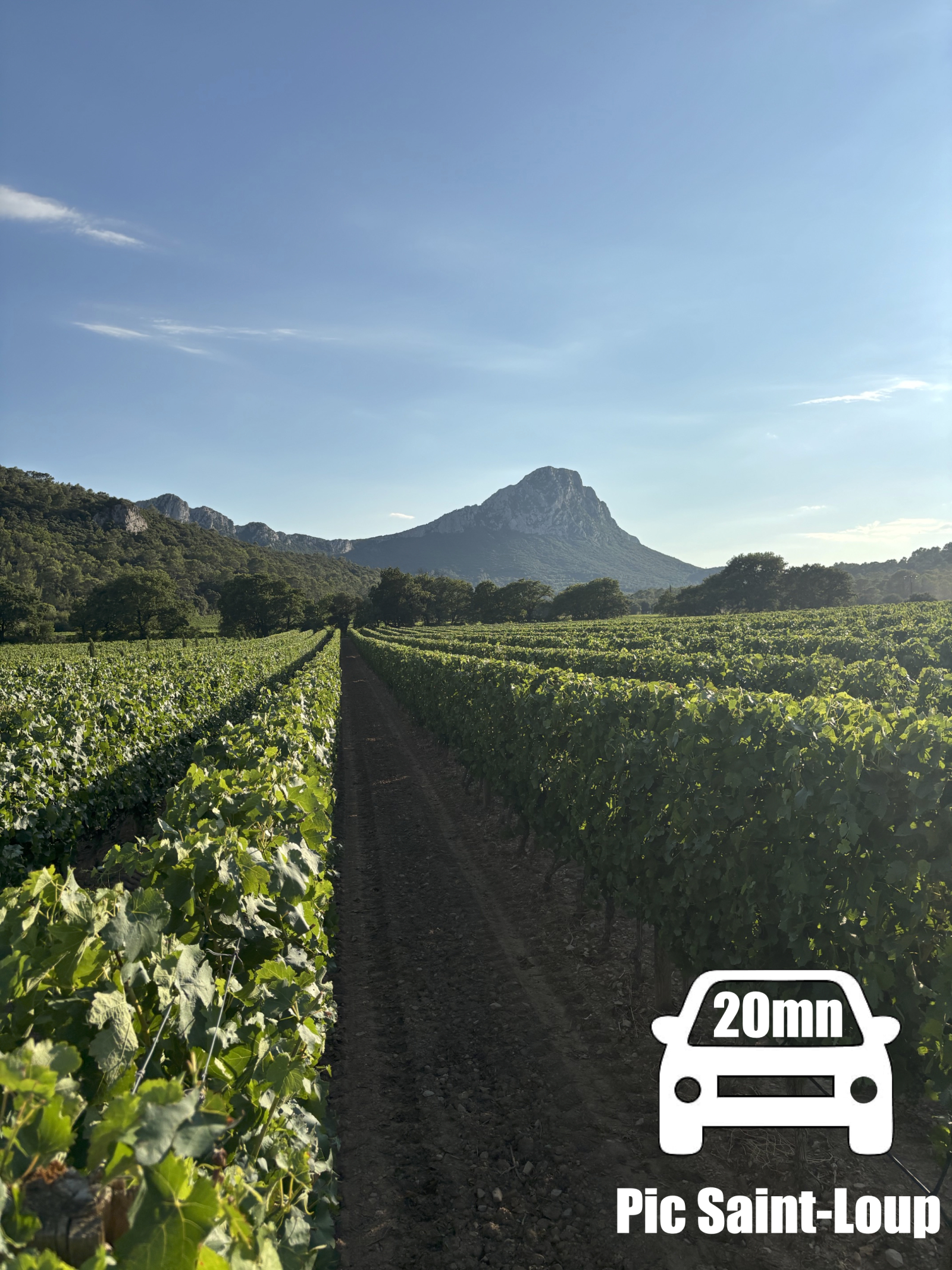 Sunny South of France Villa - Vineyards, pool & historic towns