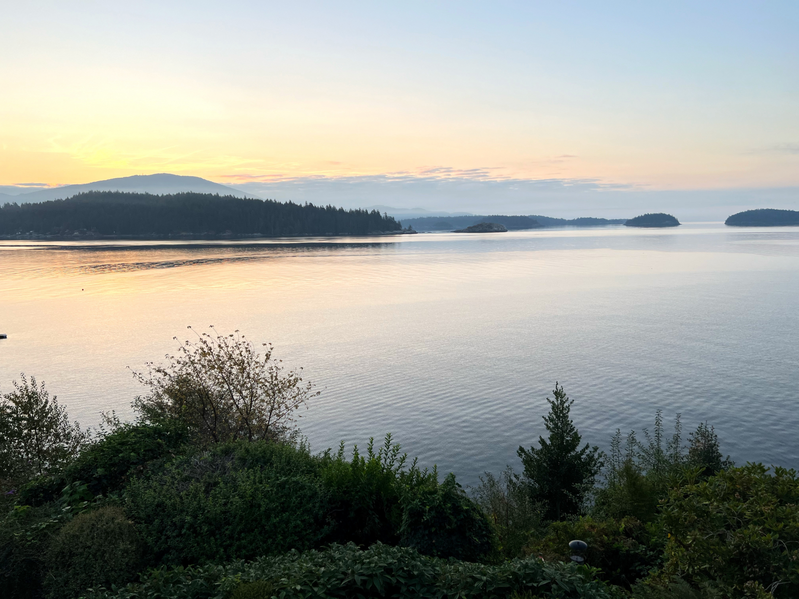 Vue # 2 depuis le patio.