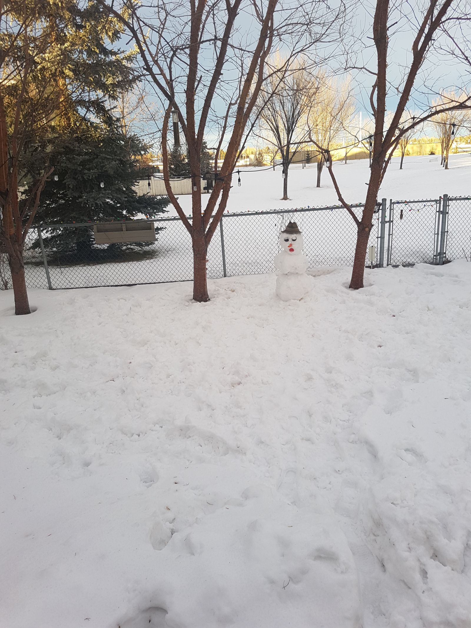 Grandchildren built a snowman.