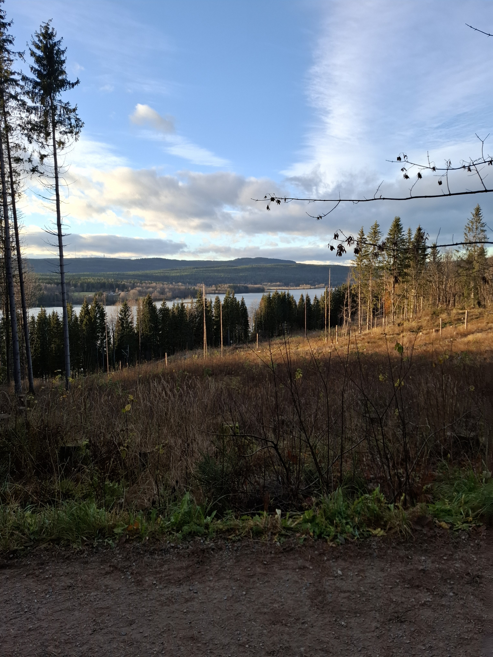 Wandelen in de omgeving van Oslo
