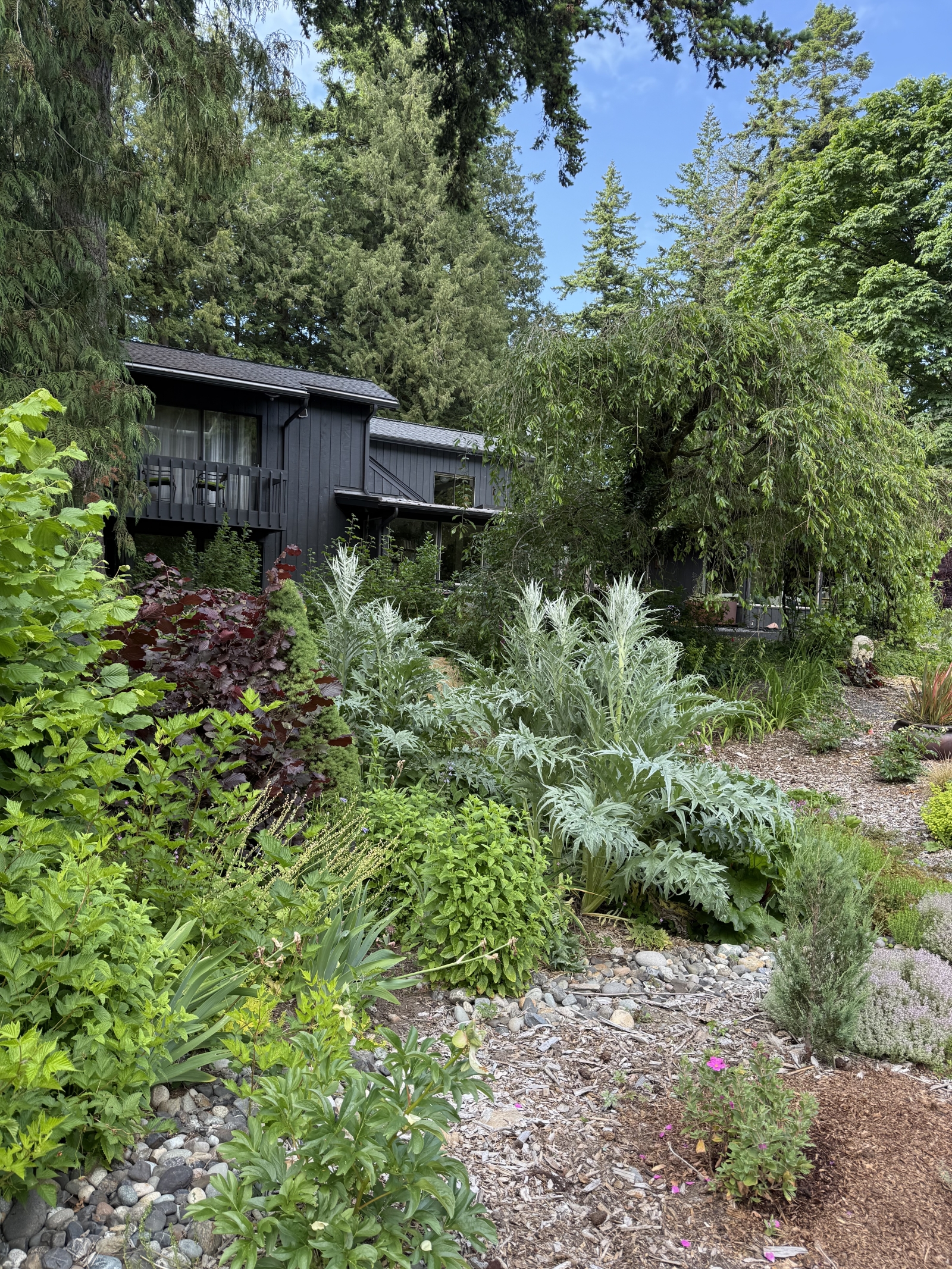 Preciosa casa en Bellingham, Washington, a medio camino entre Vancouver, BC, Canadá, y Seattle, WA, EE. UU.