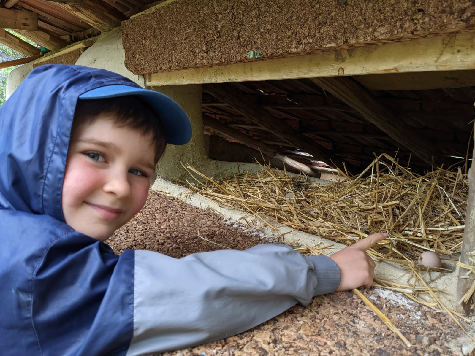 Eco-huis genesteld tussen de bomen