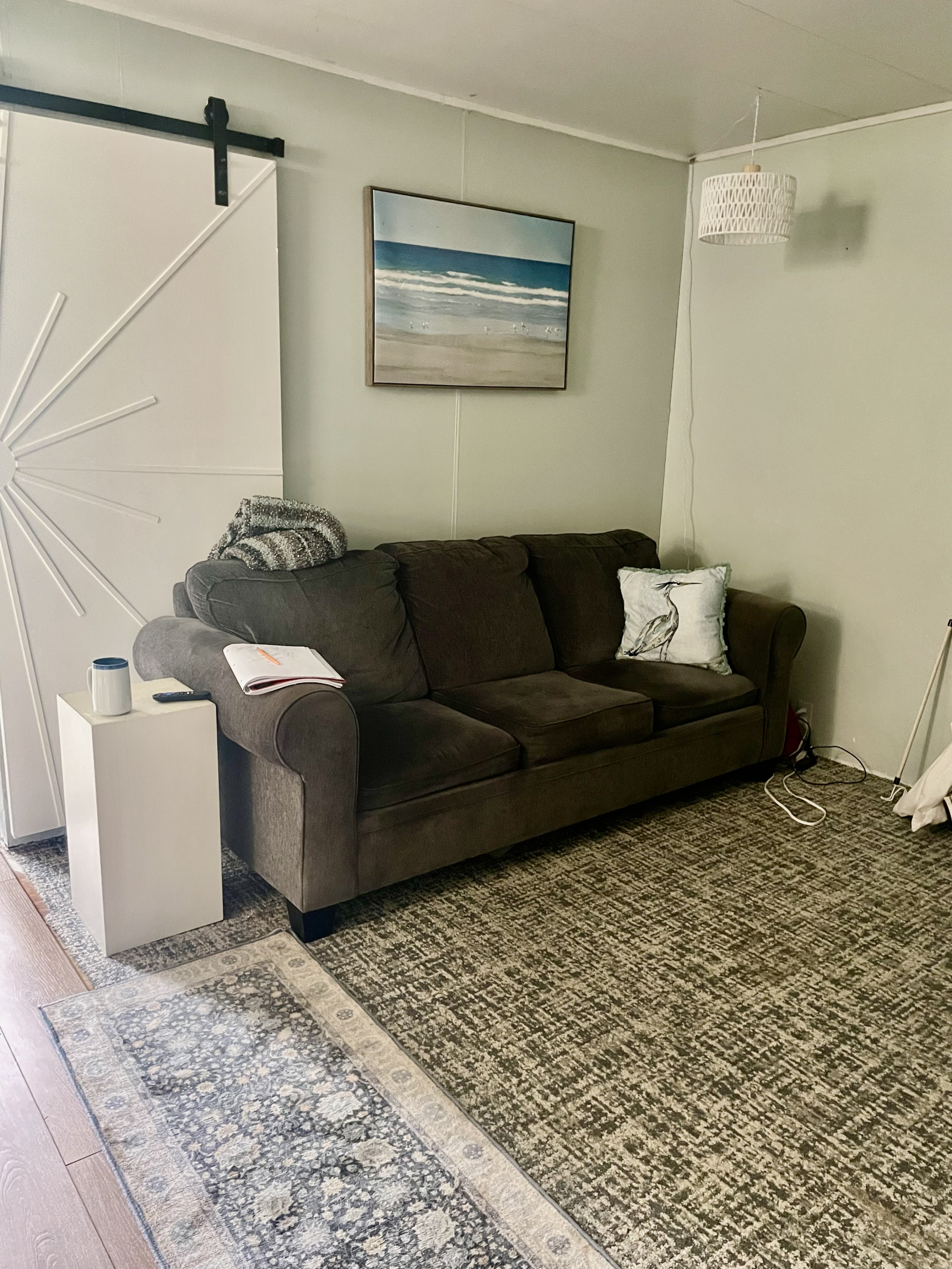 Living room with fold out sofa sleeper