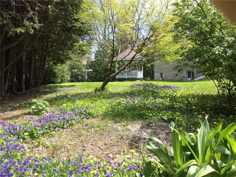 Spacious Home in Beautiful Bayfield