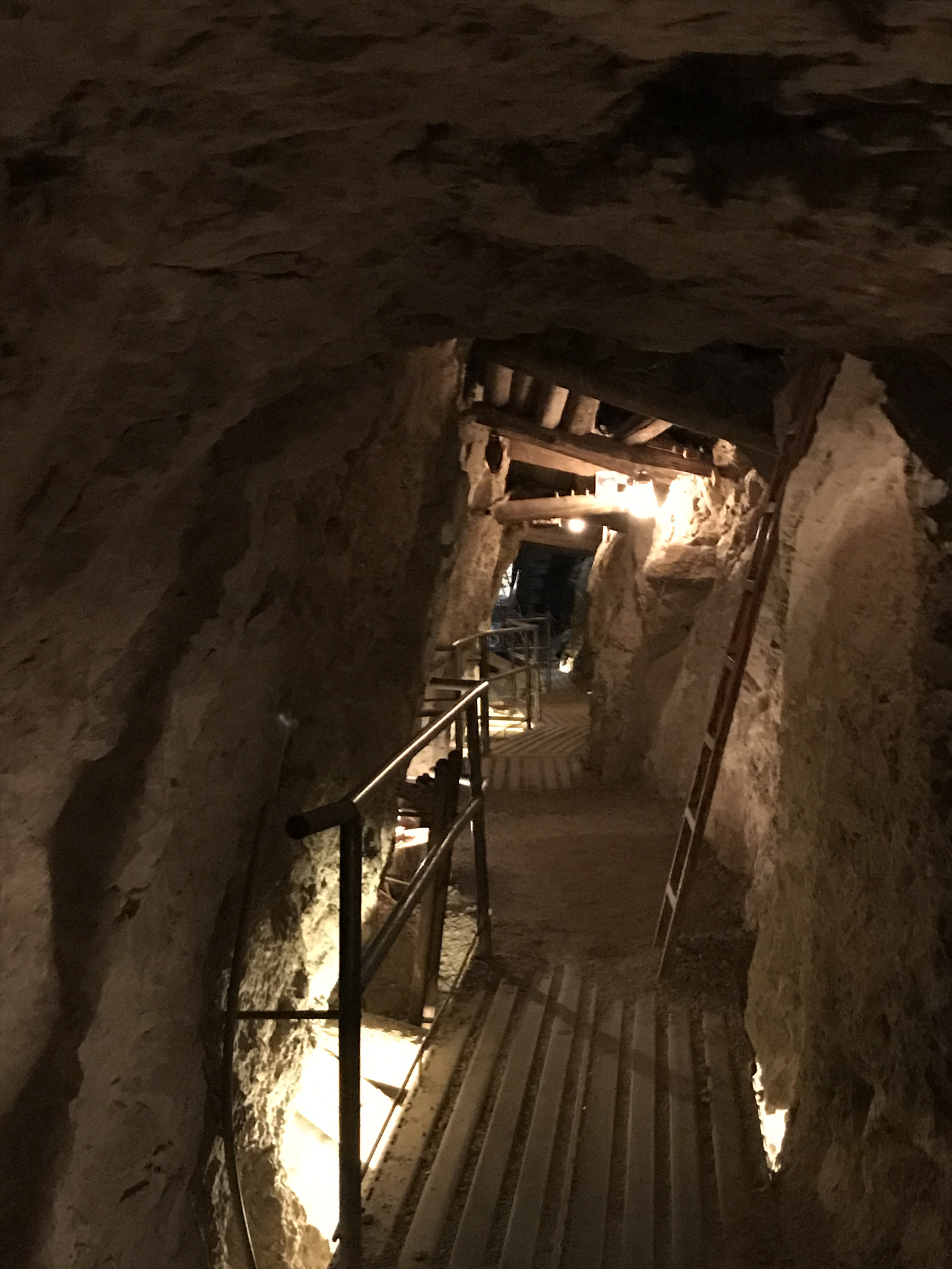 Vivi il "Far West" del Nevada e visita le miniere d'argento.   Se ami le esperienze fuori dai sentie ...