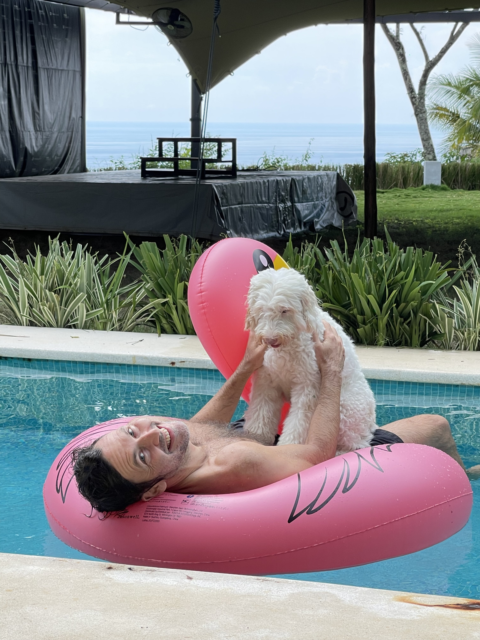 A Lola le encanta nadar 🦩