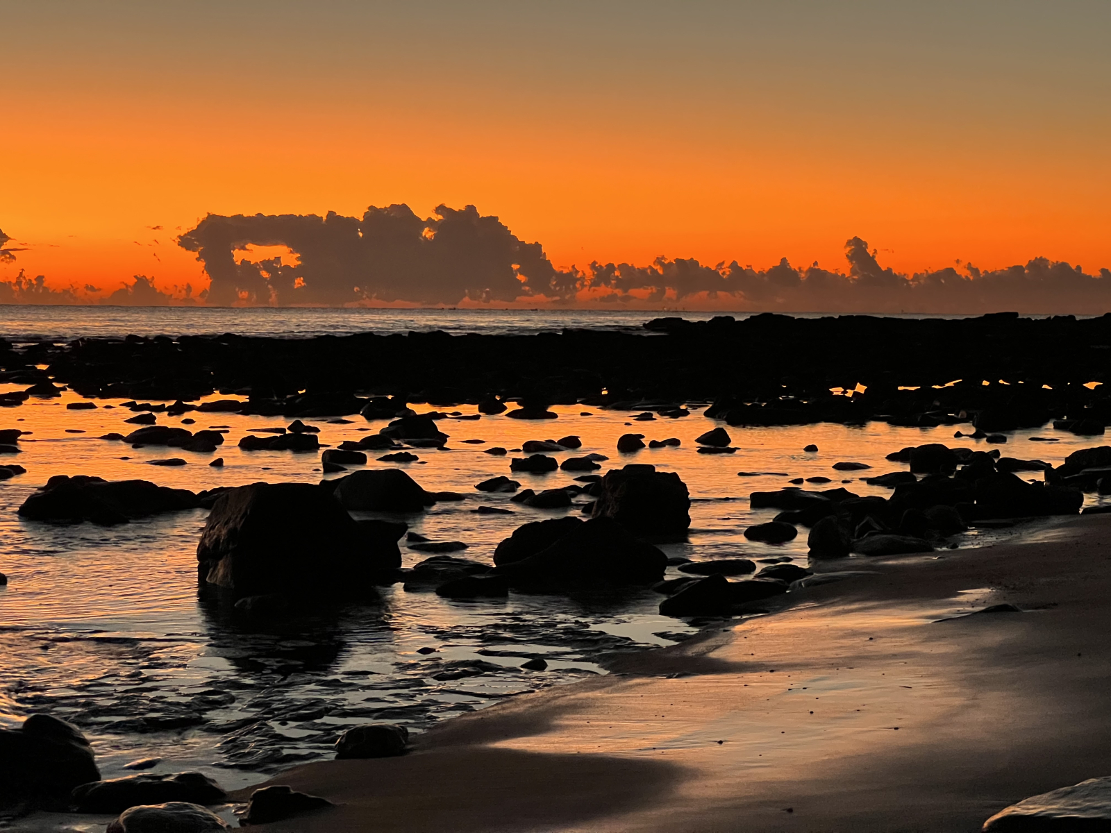 Catching the early morning sun Maroochy beach brings great delights during winter time