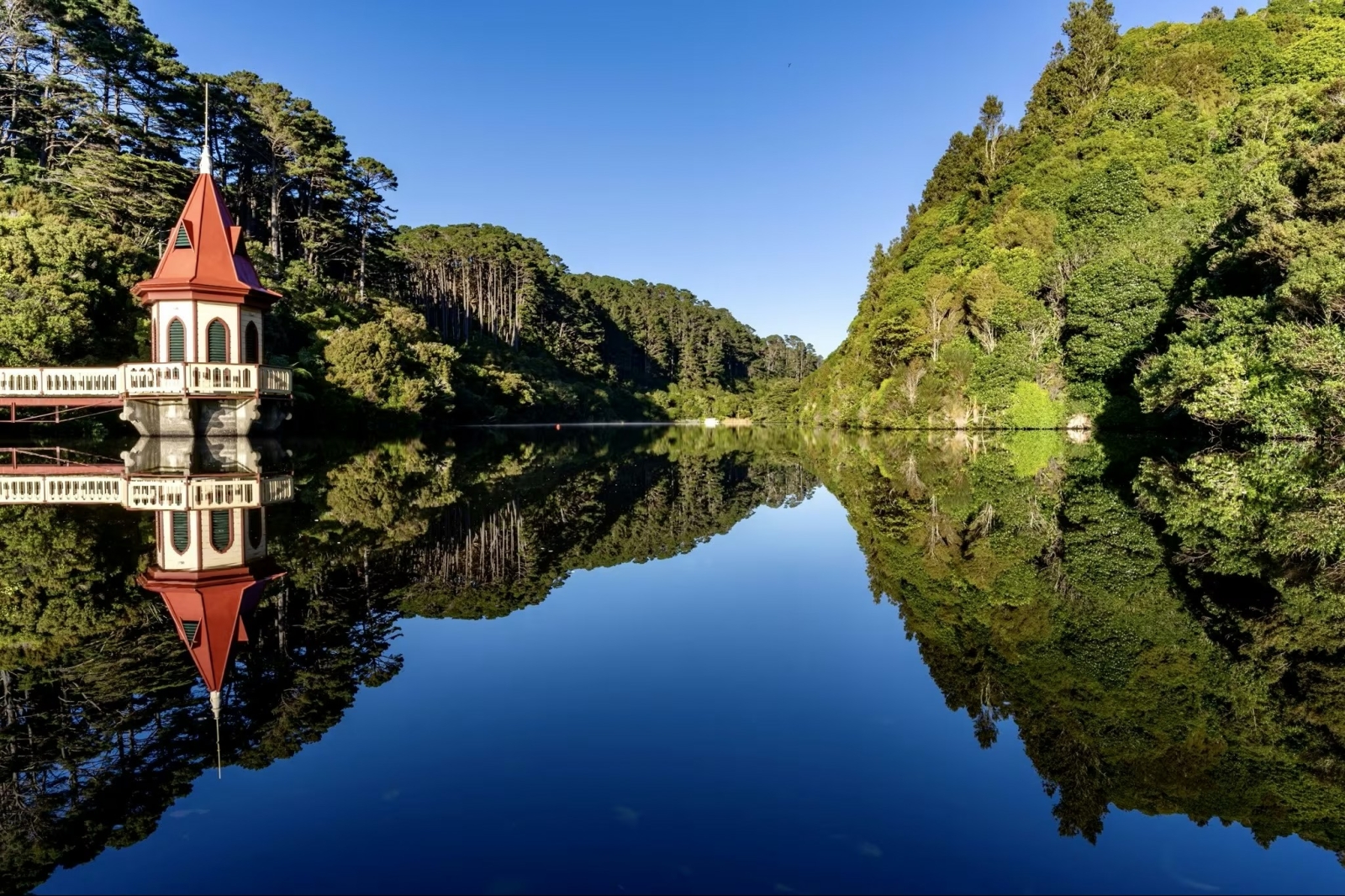 Zealandia: een ongelooflijk wildreservaat midden in het hart van Wellington.
