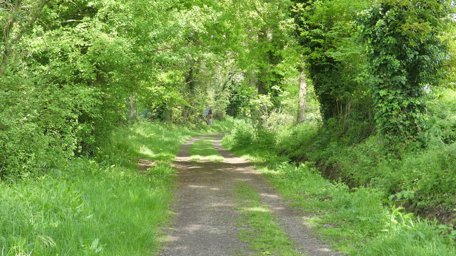 Paths within walking distance of the house.