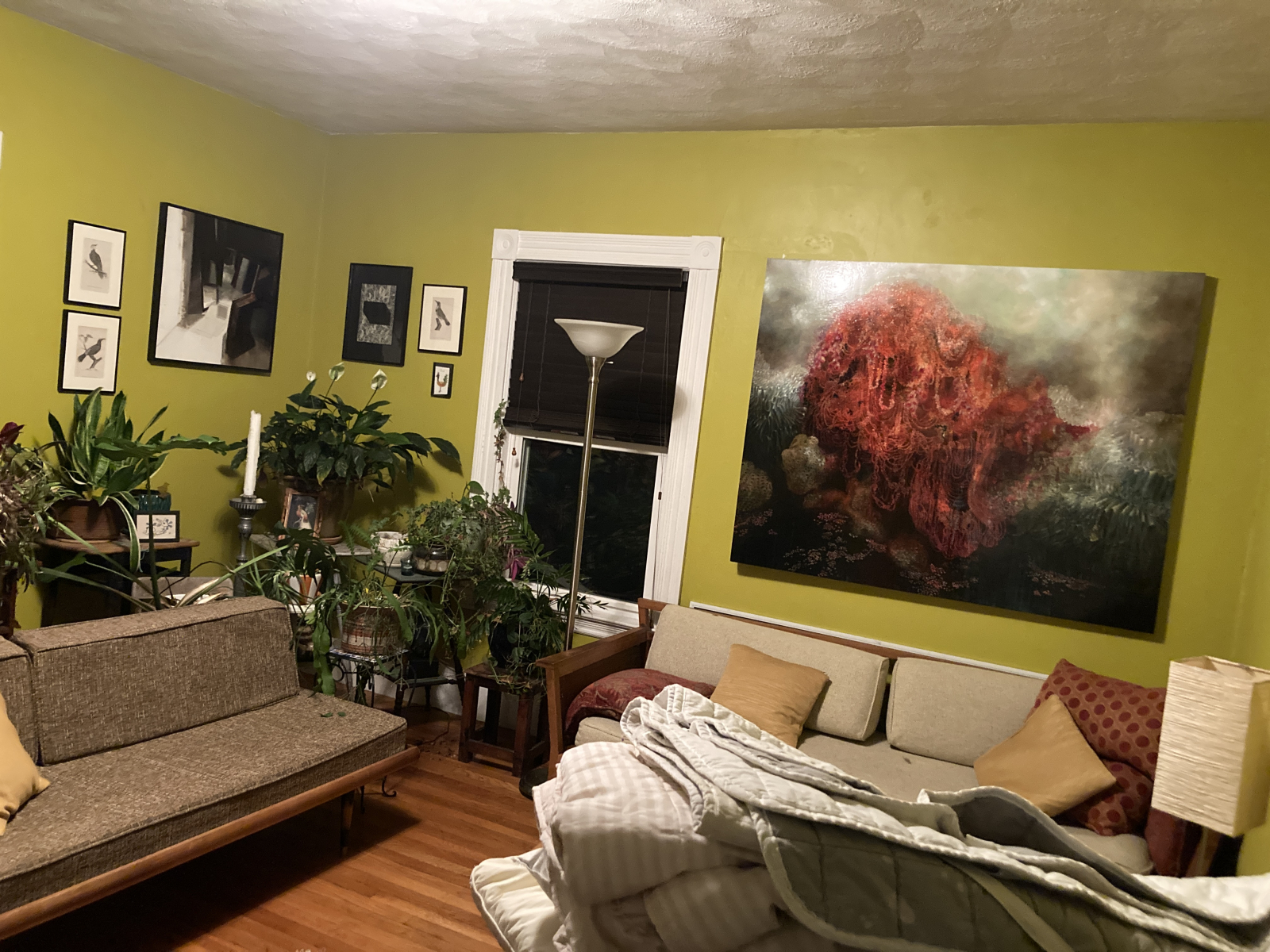 This is the plant room. The couch on the right opens up to a comfortable double bed.