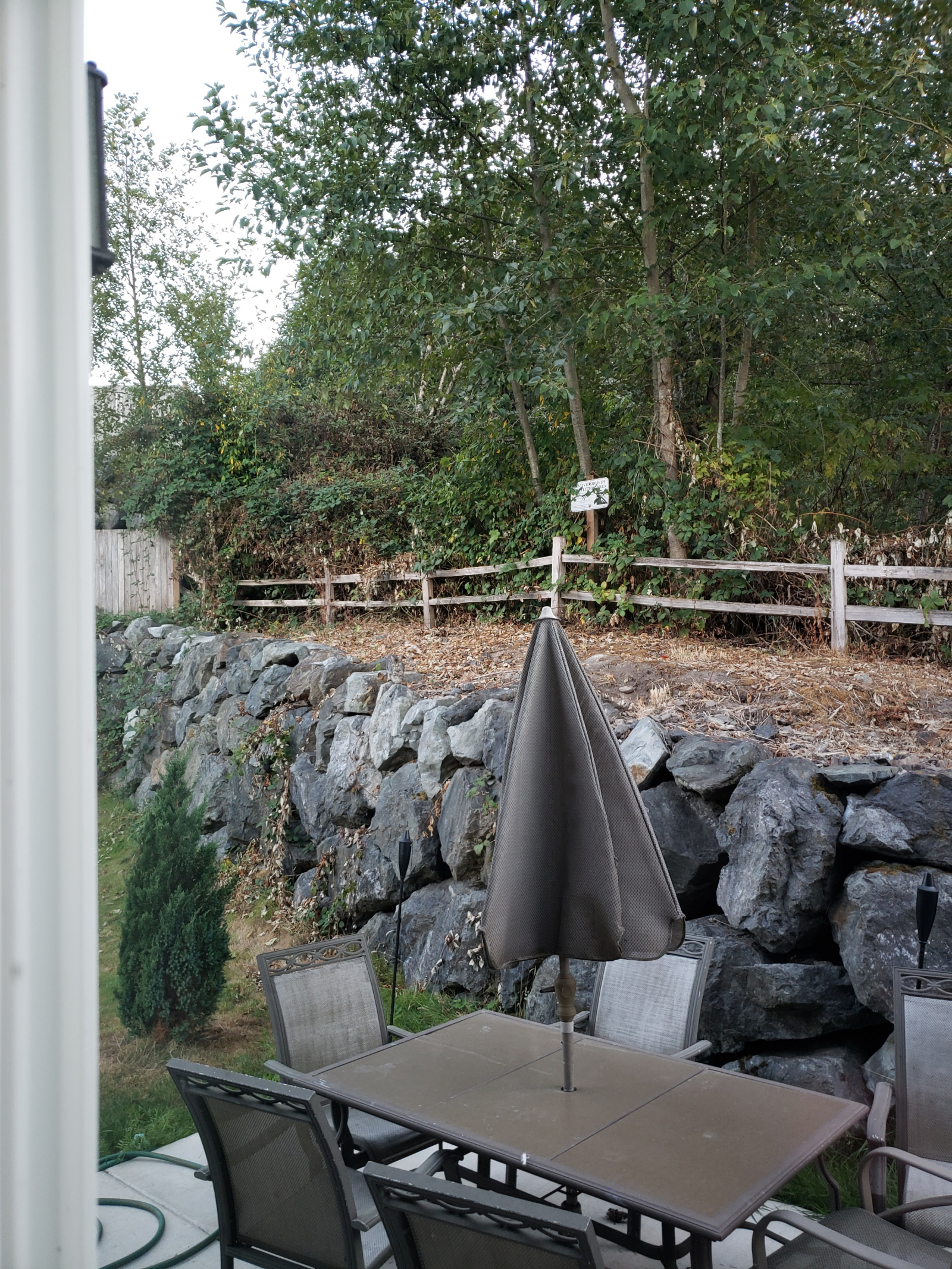 🏡 5 bedroom Pacific Northwest Base Camp — Seattle Area, Washington, USA