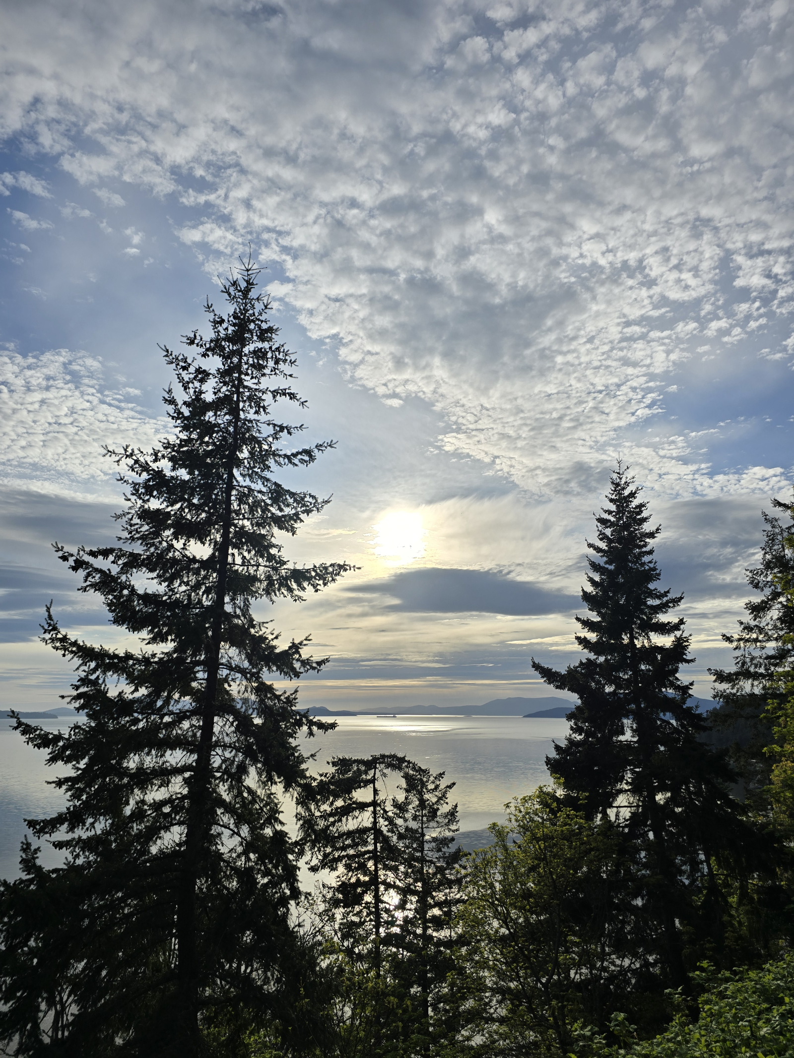 🏡 5 bedroom Pacific Northwest Base Camp — Seattle Area, Washington, USA