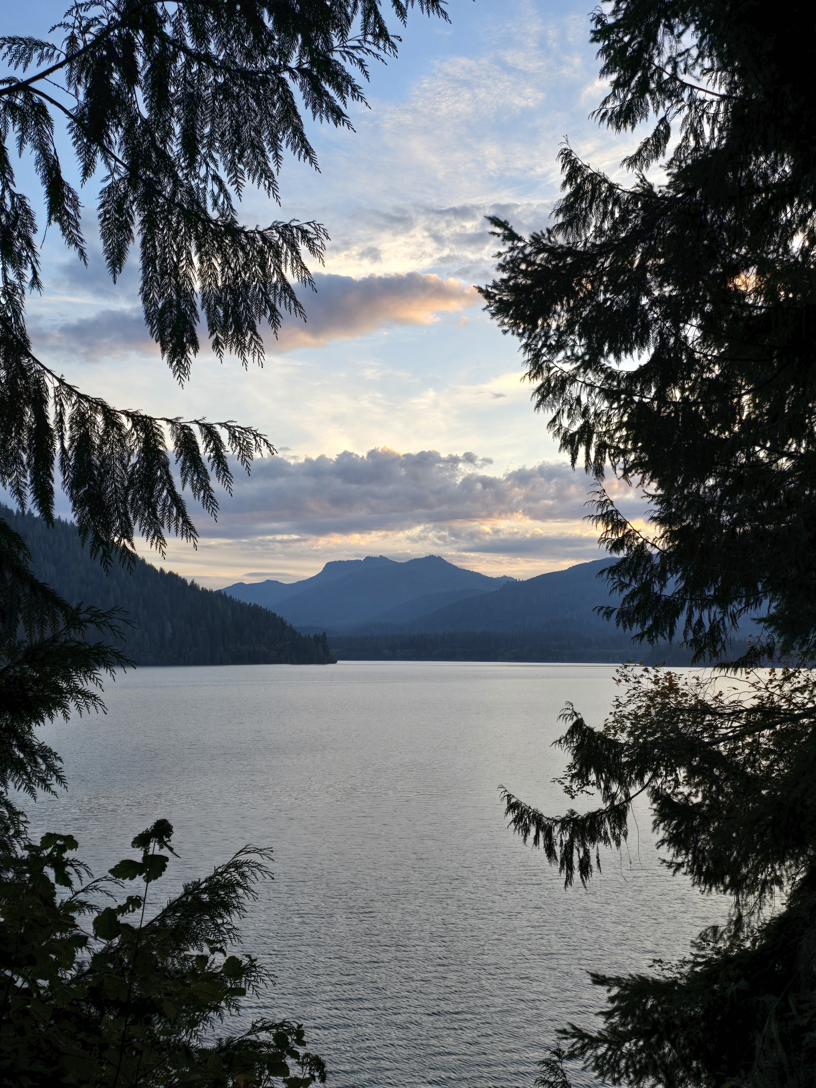 🏡 5 bedroom Pacific Northwest Base Camp — Seattle Area, Washington, USA