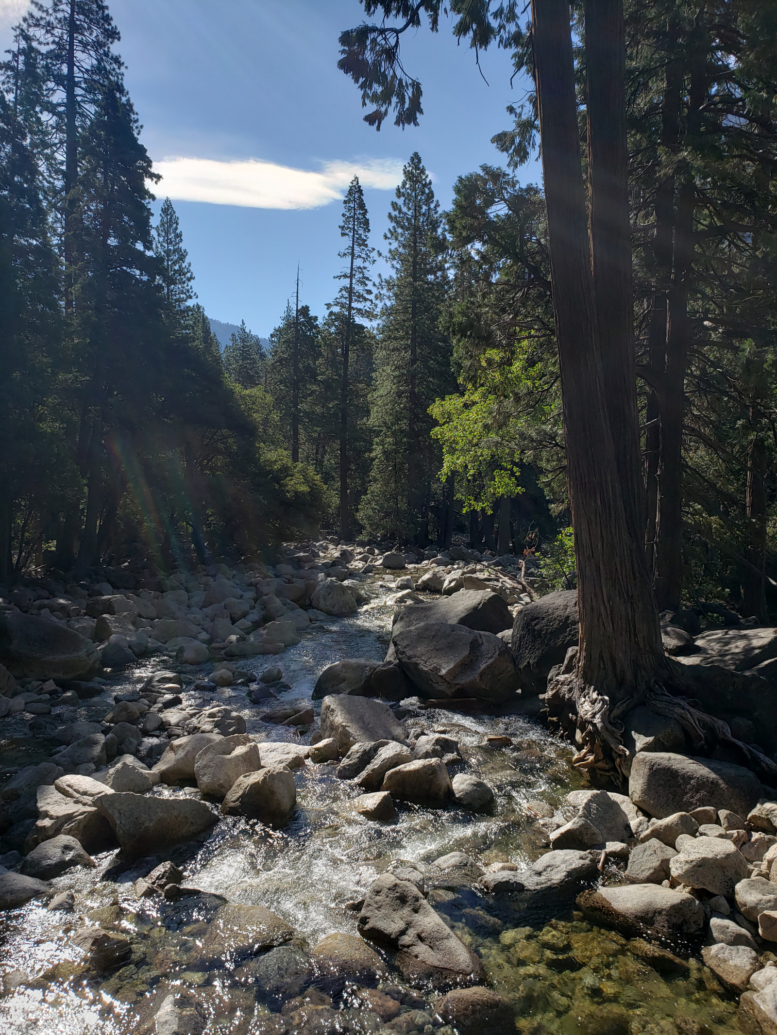 🏡 5 bedroom Pacific Northwest Base Camp — Seattle Area, Washington, USA