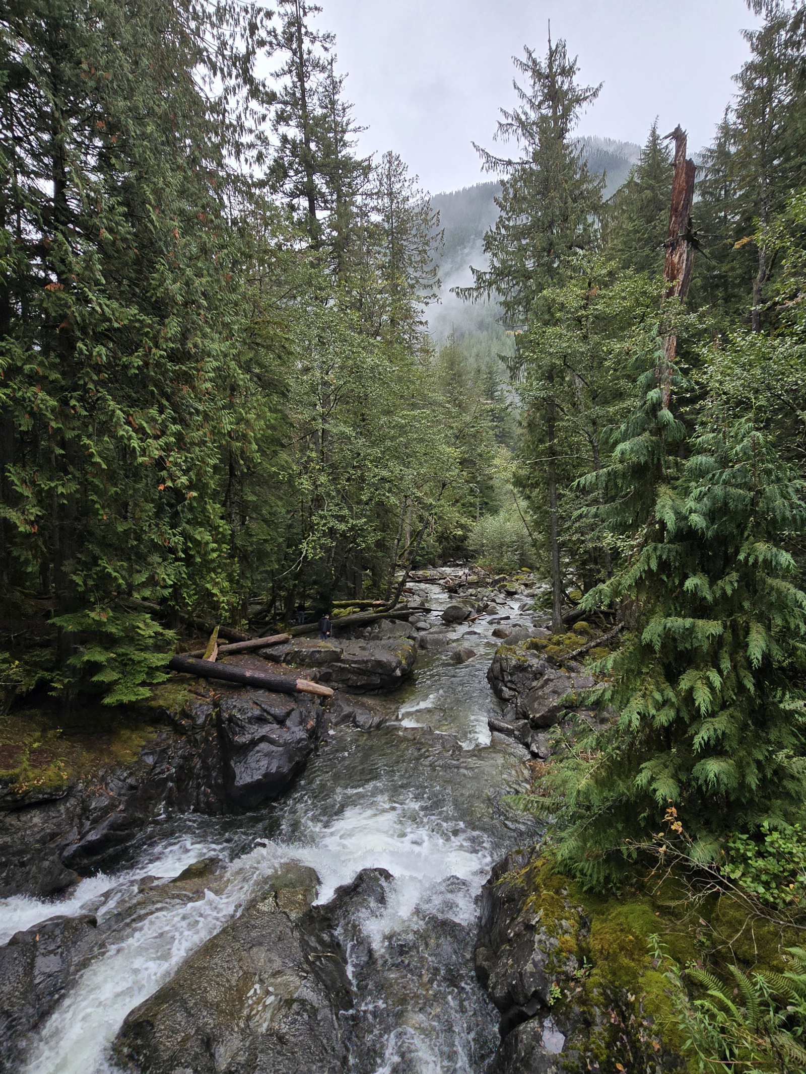 🏡 5 bedroom Pacific Northwest Base Camp — Seattle Area, Washington, USA