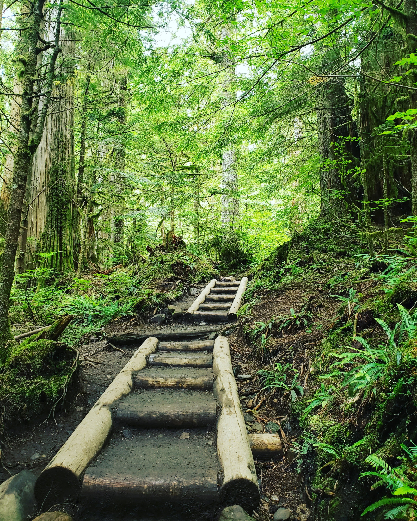 🏡 5 bedroom Pacific Northwest Base Camp — Seattle Area, Washington, USA