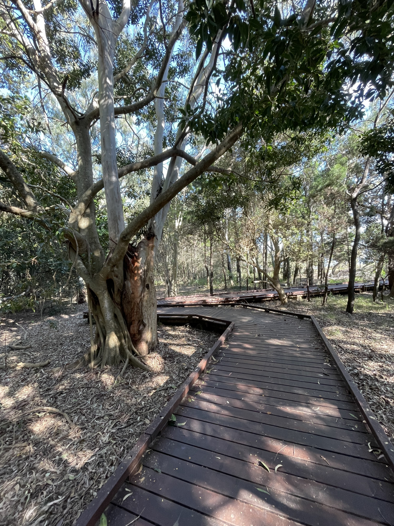 Boardwalk between Torquay and Scarness.