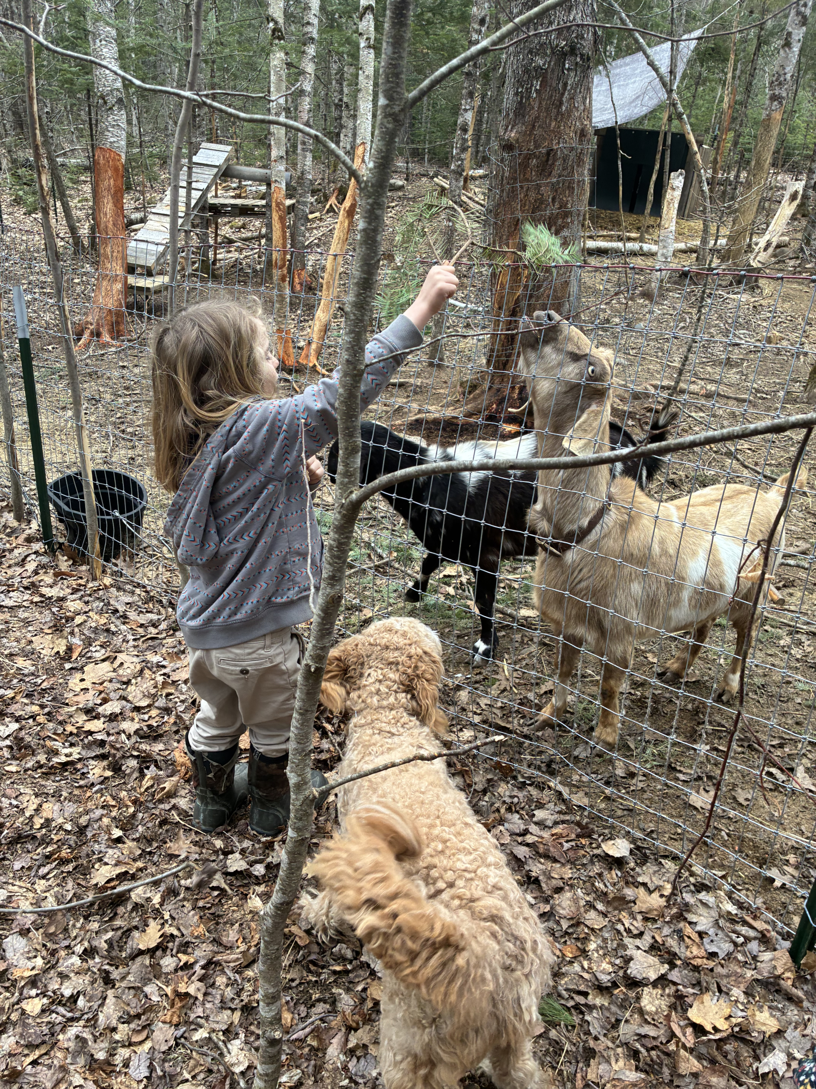 Esperienza di casa rurale affascinante e adatta alle famiglie