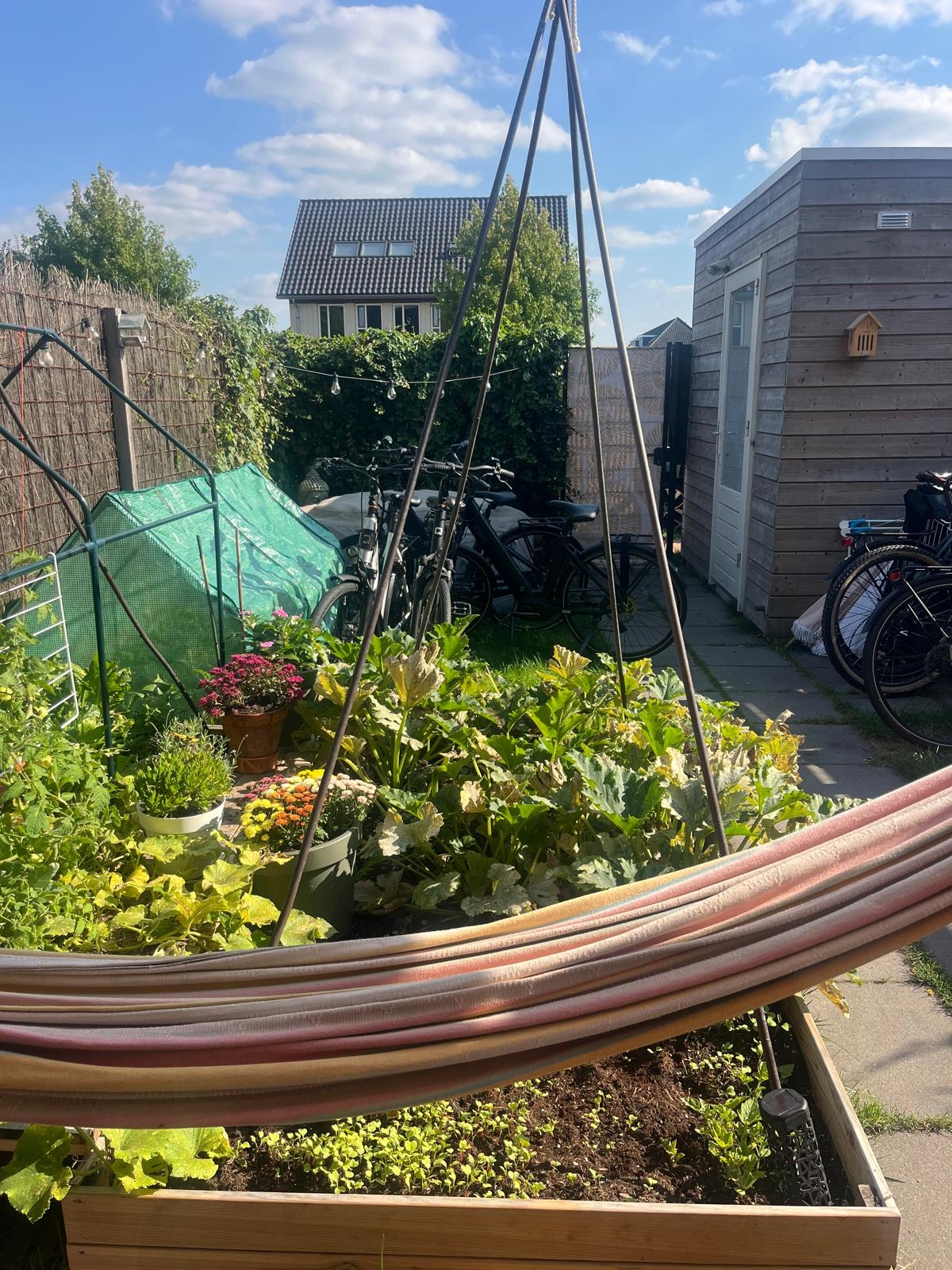 Friesland Home