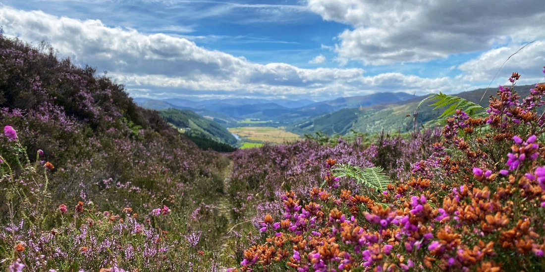 Capanna delle Highlands scozzesi circondata dalla natura