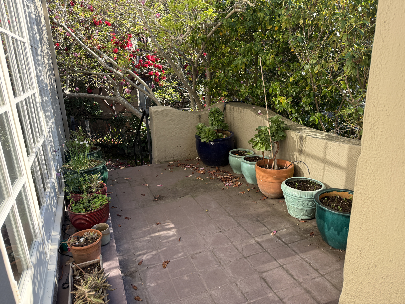 Preciosa casa histórica en Berkeley, CA — ¡jacuzzi y árbol de secuoya!