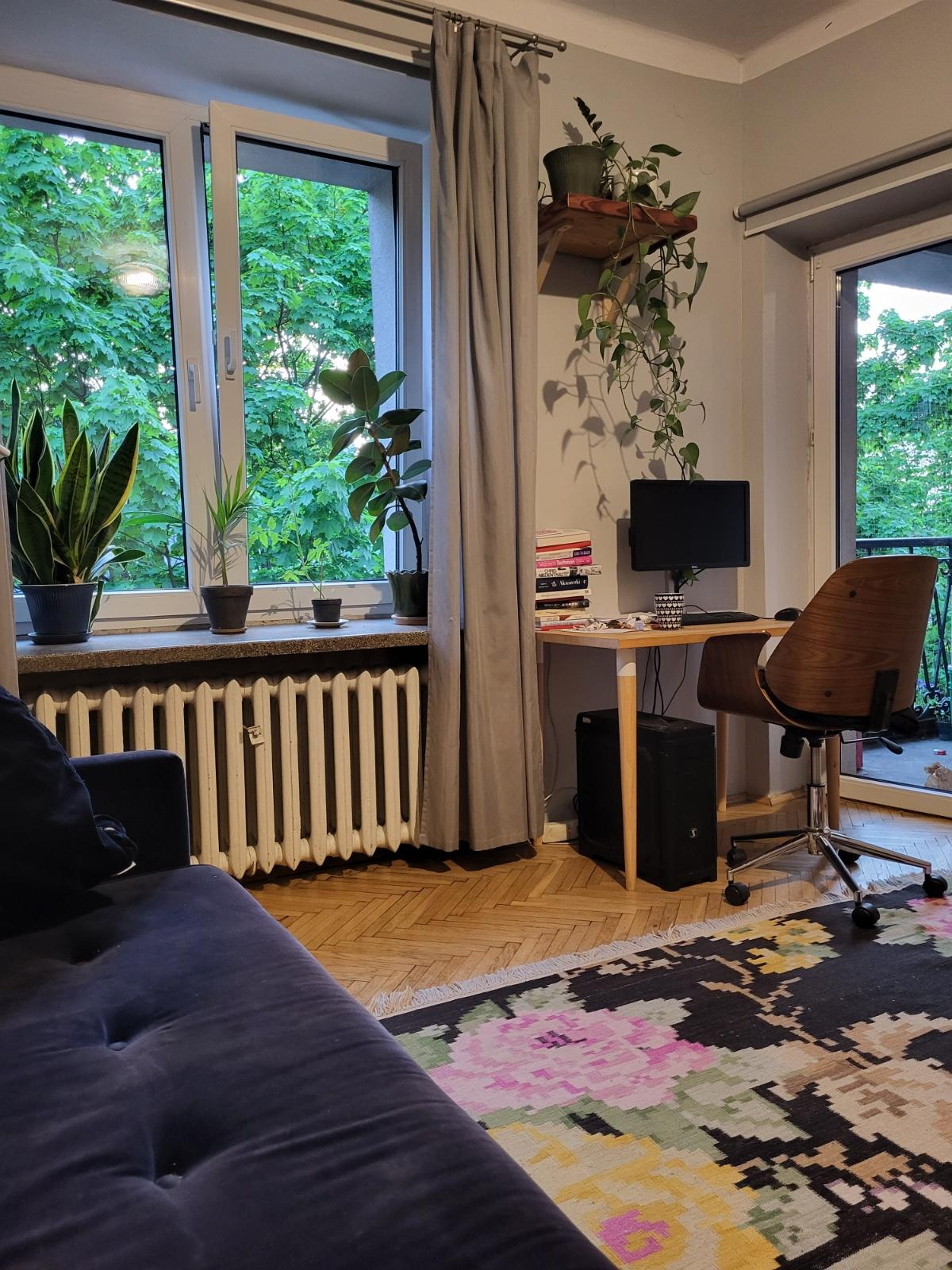 Appartement douillet en centre-ville