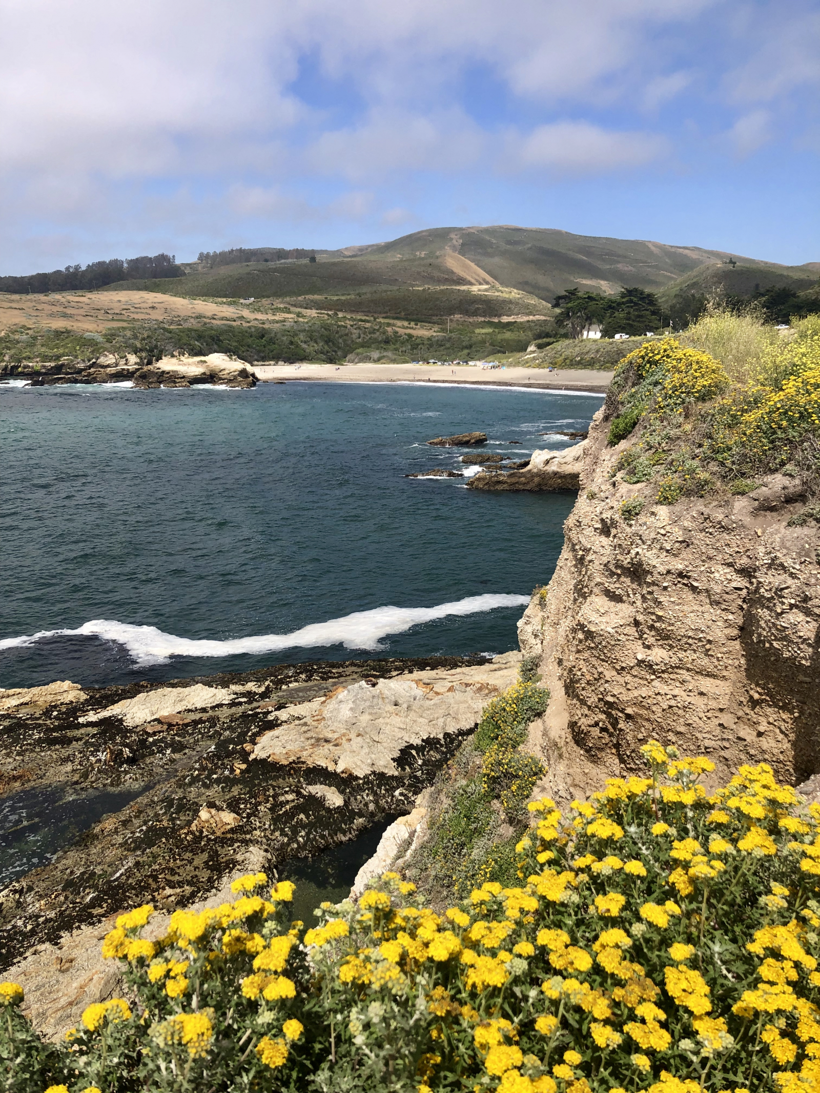 You'll love this beautiful walk along the cliffs above the Pacific ocean in Montaña de Oro state par ...