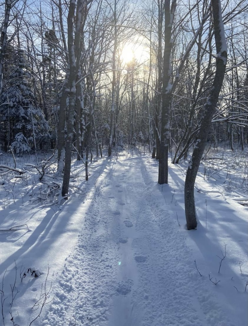 Kilometerlange Wanderwege direkt vor unserer Haustür