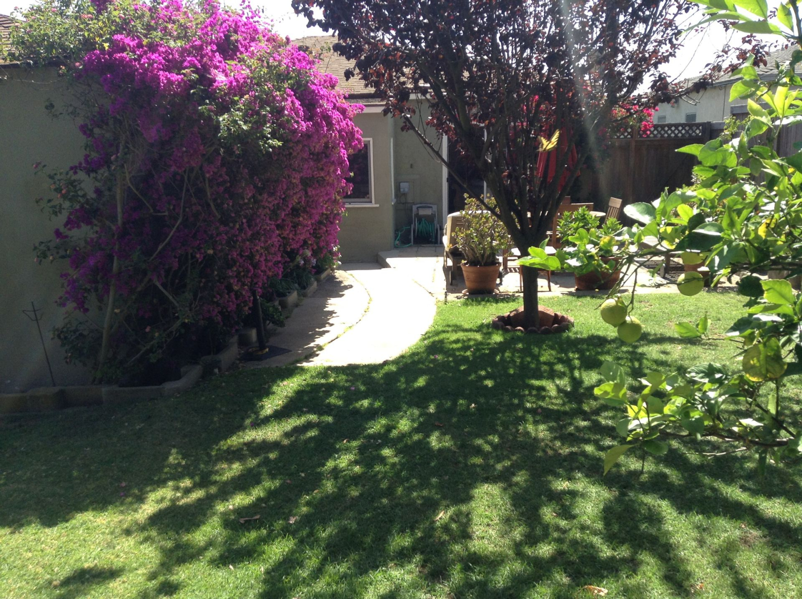 Nuestra casa en Los Ángeles - Vista del patio trasero a la casa