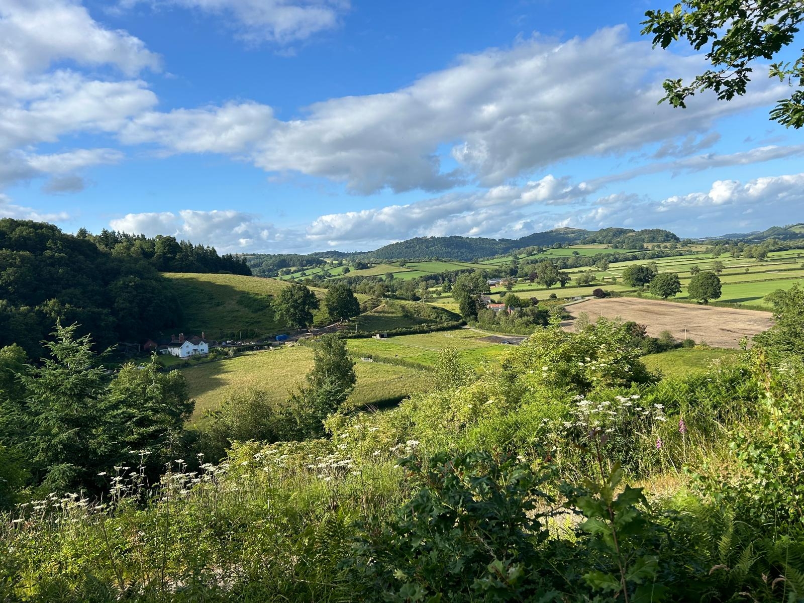 Uma vista da nossa casa e localidade a partir dos antigos bosques de carvalhos.