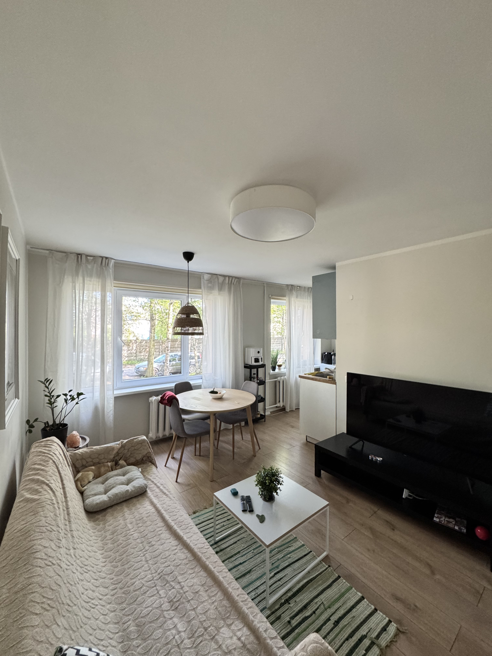Zentrale, gemütliche Wohnung in einem zentralen, friedlichen Viertel